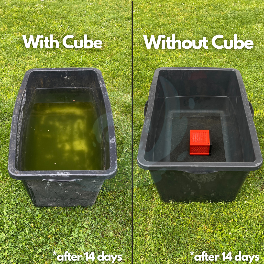 PureCube 2.0 - For cleaning your water troughs