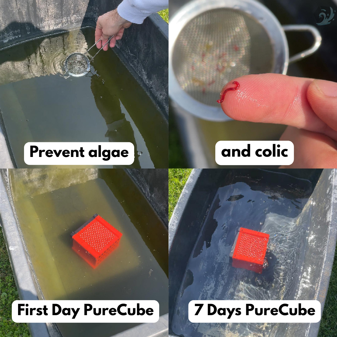 PureCube 2.0 - For cleaning your water troughs