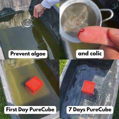 PureCube 2.0 - For cleaning your water troughs